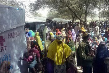 Des réfugiés nigérians ayant fui les attaques par les insurgés contre la ville de Baga et les villages environnants, attendent d'être enregistrés par le HCR à Ngouboua, à l'ouest du Tchad. Photo Croix rouge tchadienne/Hachim Abdoulaye