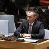 Le Représentant spécial du Secrétaire général pour l'Iraq, Nickolay Mladenov. Photo ONU/Devra Berkowitz