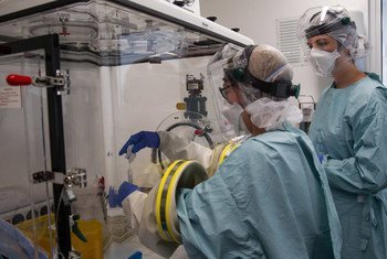 A team of lab technicians handle a sample for Ebola testing in a Laboratory in Sinje, Grand Cape Mount, Liberia.