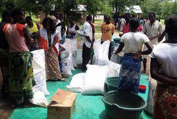 People gather at Mikolongo school in Chikwawa district, Malawi, to receive rations of maize, pulses, oil and fortified corn soya blend from WFP to prevent malnutrition.
