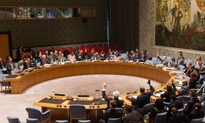 The Security Council votes to extend sanctions regime on Yemen.