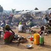 Беженцы из Нигерии в Камеруне Фото УВКБ/Д.Мбайорем