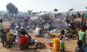 Des réfugiés nigérians au camp de Minawao dans la région de l'Extrême-Nord au Cameroun. Photo : UNHCR/D. Mbaiorem