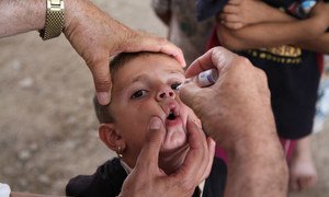 A health worker administers a dose of oral polio vaccine to a boy in the Bajeed Kandala camp in Iraq.