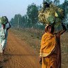 В ООН призывают власти Индии восстановить права жителей Джамму и Кашмира