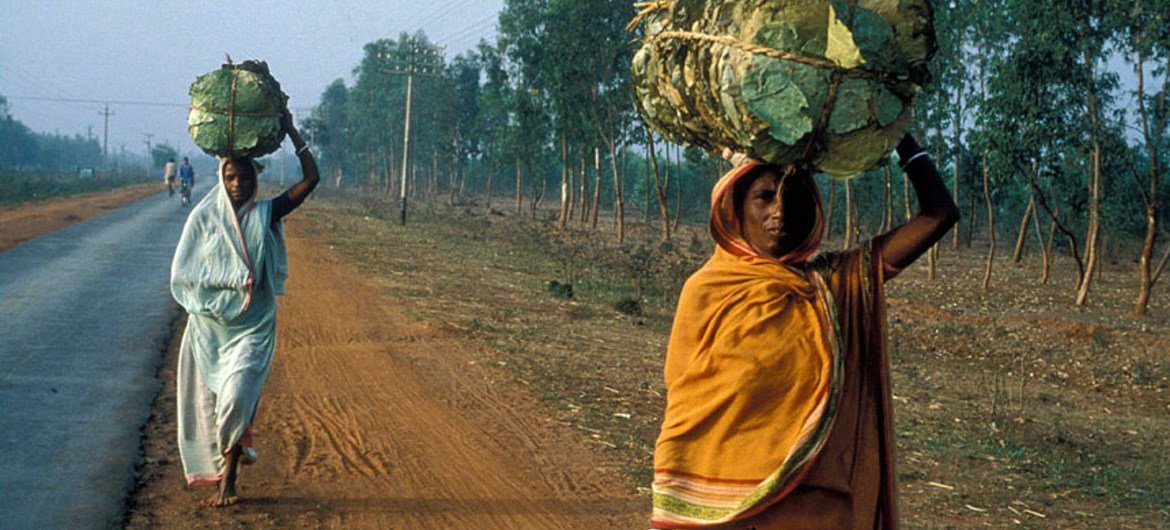 लंबा रास्ता तय कर भोजन लेकर अपने घर की ओर जाती महिलाएं. (फ़ाइल)