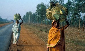 In India, women carry food.
