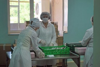 Women employees at a private company pack pharmaceuticals in Moldova. World Bank/Victor Neagu
