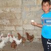 FAO is providing emergency livelihood support to improve food security of households affected by the ongoing Syrian crisis.