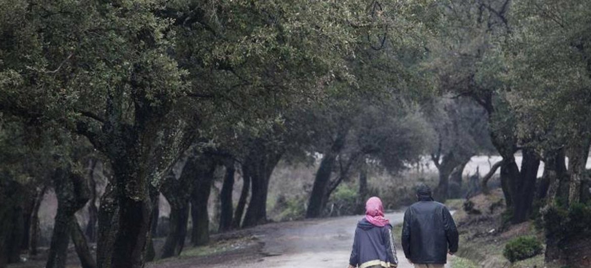 Un couple marche à travers une forêt, dans le Gouvernorat de Jendouba, en Tunisie. Photo : FAO / Giulio Napolitano