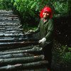 一名泰国妇女正将红树原木放到架子上，准备制成木炭。粮农组织图片/J. Koelen