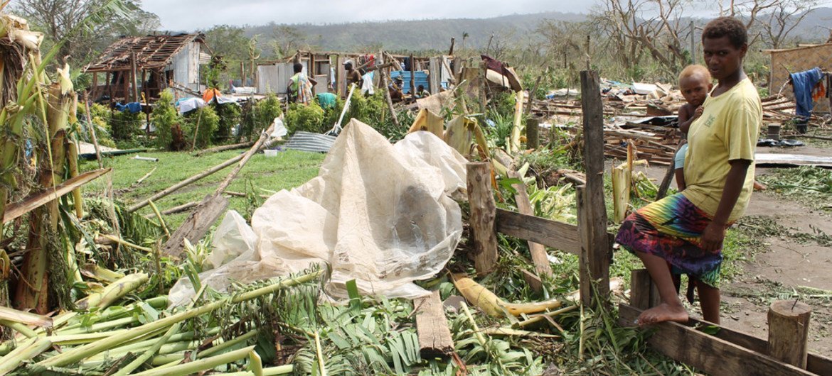 Crop damage caused by Super Cyclone Pam on the Pacific Island of Vanuatu.