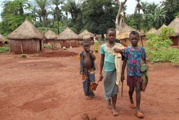 Des réfugiés de la République démocratique du Congo (RDC) en République centrafricaine ont été attaqués quand ils se sont aventurés en RDC pour cultiver leurs terres. Photo HCR/A. Kitidi