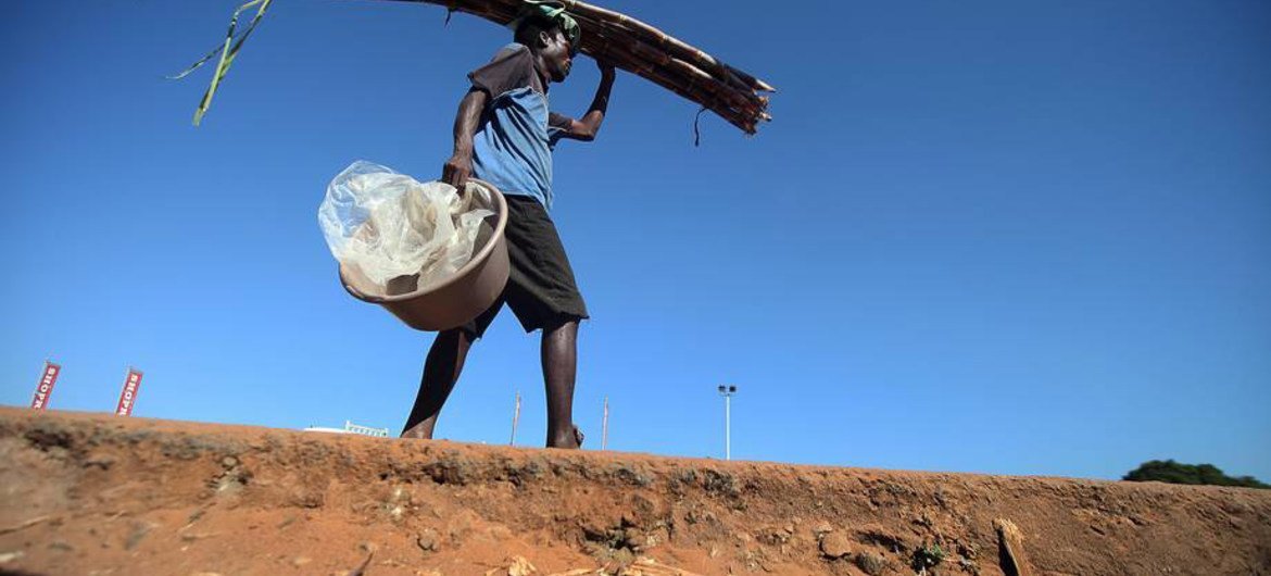 رجل يحمل قصب السكر في موزامبيق. تراجع مؤشر منظمة فاو لأسعار الغذاء مرة أخرى مارس 2015، مدفوعا بالانخفاض الحاد في انتاج السكر. المصدر: الفاو / بابلو ثيكيسو