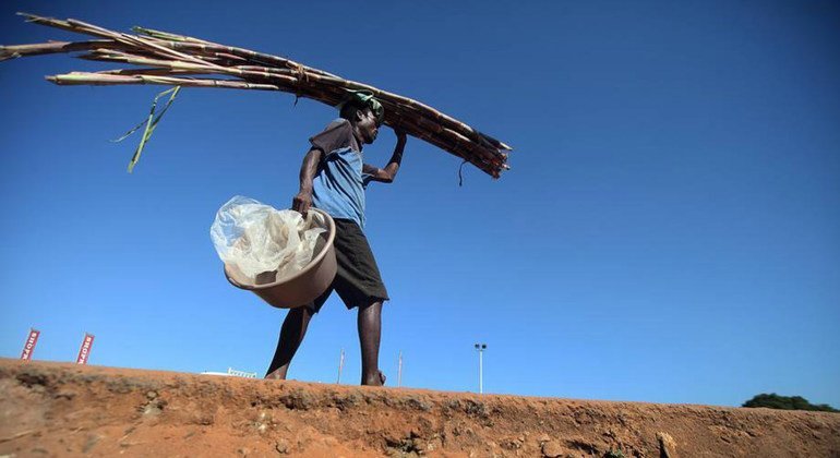 Homem carrega cana de açúcar. Brasil é maior exportador mundial. 