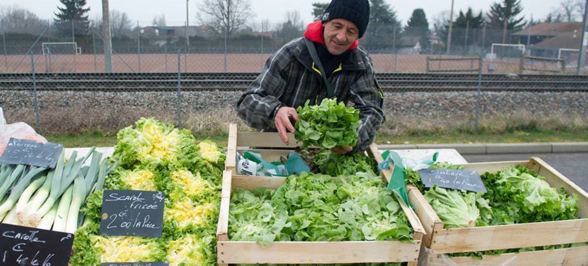 法国一个商贩正在出售各种蔬菜。所有蔬菜都符合世界卫生组织制定的标准。世界卫生组织图片/V. Martin