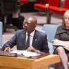 联合国中非共和国多层面综合稳定特派团负责人盖伊资料图片。联合国图片/Eskinder Debebe