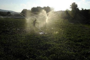 FAO and the World Water Council (WWC) warn that in 2050 water supplies will dwindle in parts of the world, threatening food security and livelihoods.