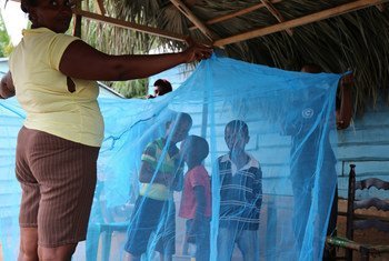 Children surrounded by protective malaria net in the Dominican Republic.