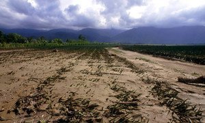 Climate change has serious implications for agriculture and food security.