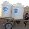 Debido a la escasez de combustible, los carros tirados por burros son todavía usados como una alternativa para distribuir agua potable en Yemen. Foto: OMS Yemen