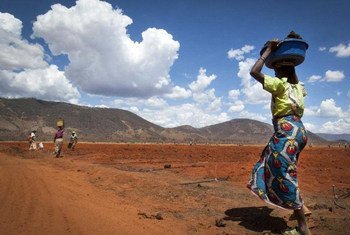 El cambio climático contribuye a una mayor inseguridad alimentaria para muchas de las personas más vulnerables del mundo. Foto: FAO/Eliza Deacon