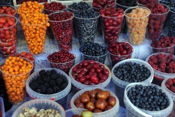 Los albaricoques secos de Asia Central se cuentan entre los frutos secos más populares en el mundo. Foto: FAO/Vasily Maksimov