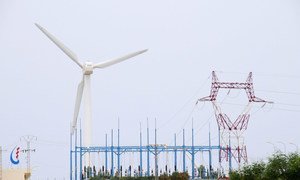 Wind turbine farm in Tunisia.