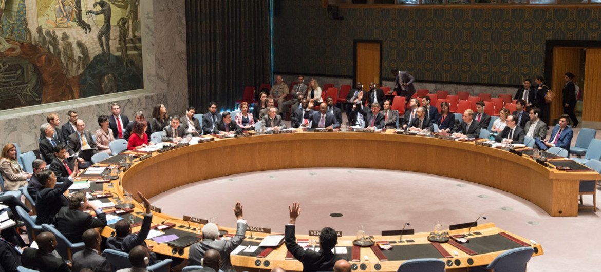 Security Council adopts resolution on tackling illicit trade of small arms.