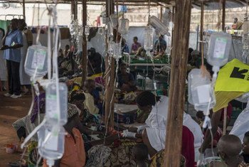لاجئون من بوروندي يعالجون من الإسهال الحاد في مركز لعلاج الكوليرا في كيغوما تنزانيا. صور: مفوضية الأمم المتحدة السامية لشؤون اللاجئين / ب لويساو