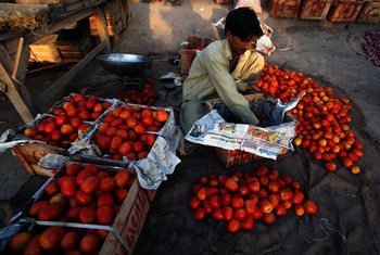 Tomates a la venta en un mercado en Multan, Paquistán. Foto: FAO/Asim Hafeez
