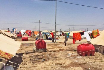 The Abu Ghraib Camp where people who have been displaced from Ramadi province in Anbar Governorate have been relocated.