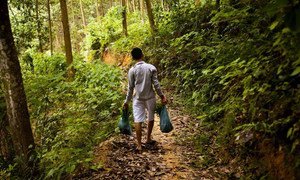 联合国环境署表示，树木对于生态系统和地球环境至关重要，森林恢复是应对气候变化最为经济且有效的策略之一。