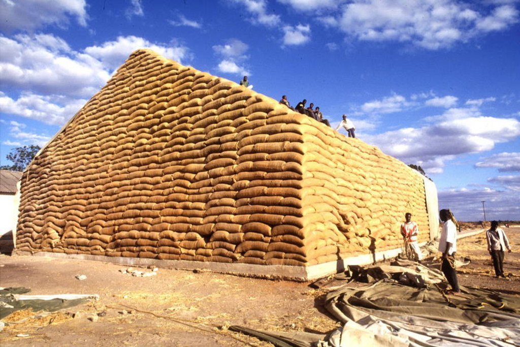 Des stocks de maïs en Zambie. Photo : FAO / Alberto Conti