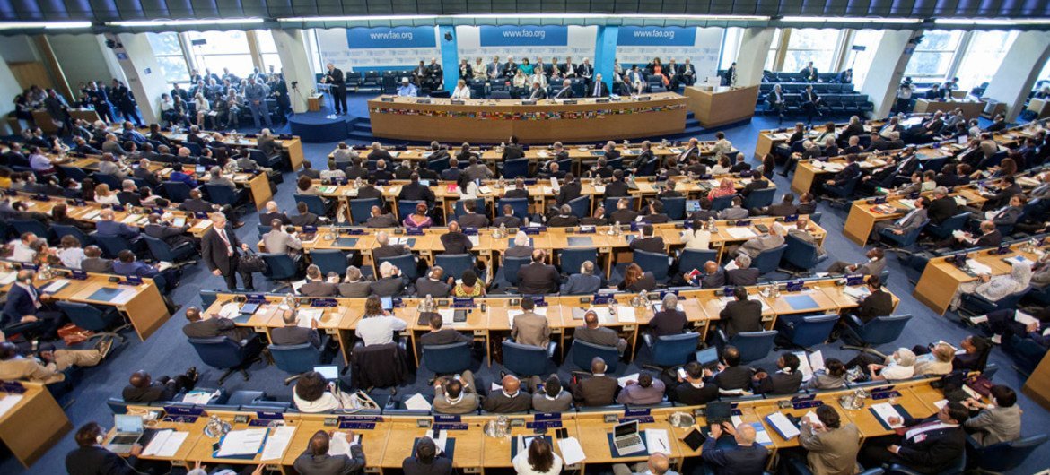 A wide view of the Plenary Hall during the opening of the FAO Conference in Rome.