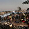 Displaced children and adults shelter outside a barbed-wire fence, in a camp set up behind Mpoko International Airport in Bangui, Central African Republic (CAR).