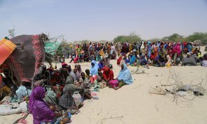 Thousands of people, mainly women and children, are scattered across the arid land of Nguigimi, Niger, after fleeing Boko Haram violence in Nigeria.