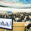 人权理事会会场。联合国/Pierre Albouy