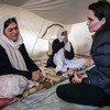 Женщина  из группы  езидов рассказывает  Специальному посланнику УВКБ  А.Джоли о том, как ее похитили вооруженные бойцы на севере Ирака.   Позже вместе  с другими женщинами  в возрасте  ее отпустили,  а дочка все еще  удерживается.   Фото УВКБ