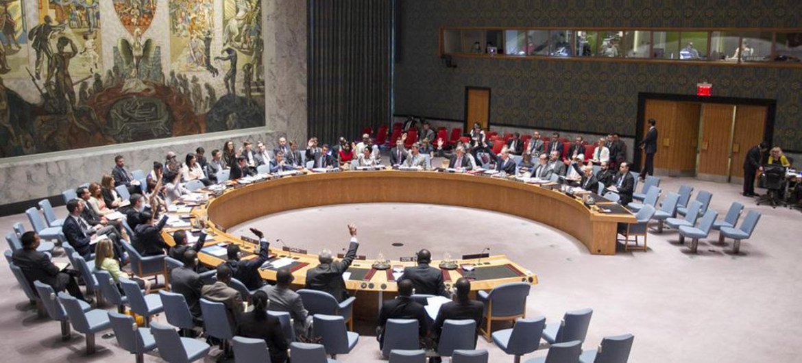 Совет Безопасности Фото ООН/ Рик Бахорнас