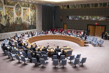 Совет Безопасности Фото ООН/ Рик Бахорнас