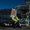Ground crew members load cargo onto a Lufthansa freighter at an airport.