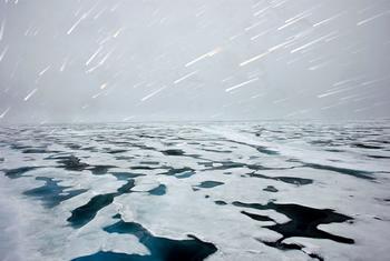 Imagen del hielo en el Ártico tomada en 2009. Foto: ONU/Mark Garten