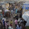 南苏丹流离失所者在联合国营地寻求庇护。儿基会图片/Kate Holt