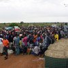 فرار العديد من المدنيين من منازلهم بسبب القتال العنيف في منطقة أعالي النيل إلى موقع حماية بعثة الأمم المتحدة في جنوب السودان في ملكال. المصدر:  بعثة الأمم المتحدة في جنوب السودان