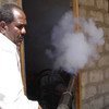 منظمة الصحة العالمية تدعم  حملات الرش الداخلي والخارجي ضد نواقل حمى الضنك في اليمن. الصورة: منظمة الصحة العالمية اليمن