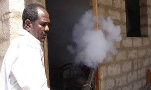 The World Health Organization (WHO) has supported campaigns of indoor and outdoor spraying against dengue vectors in Yemen.