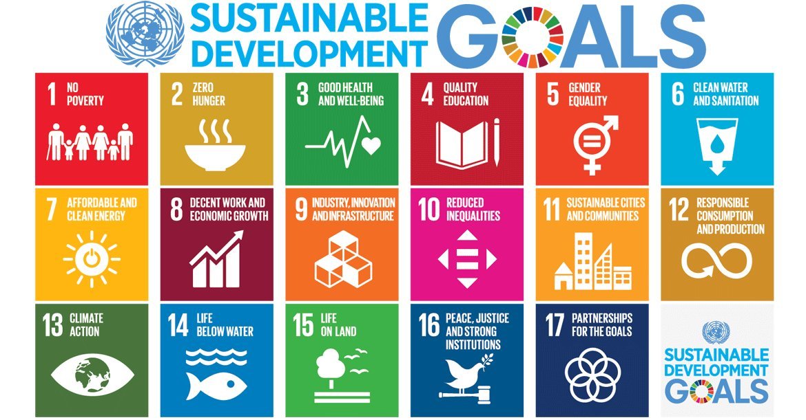 Image result for sustainable development goals