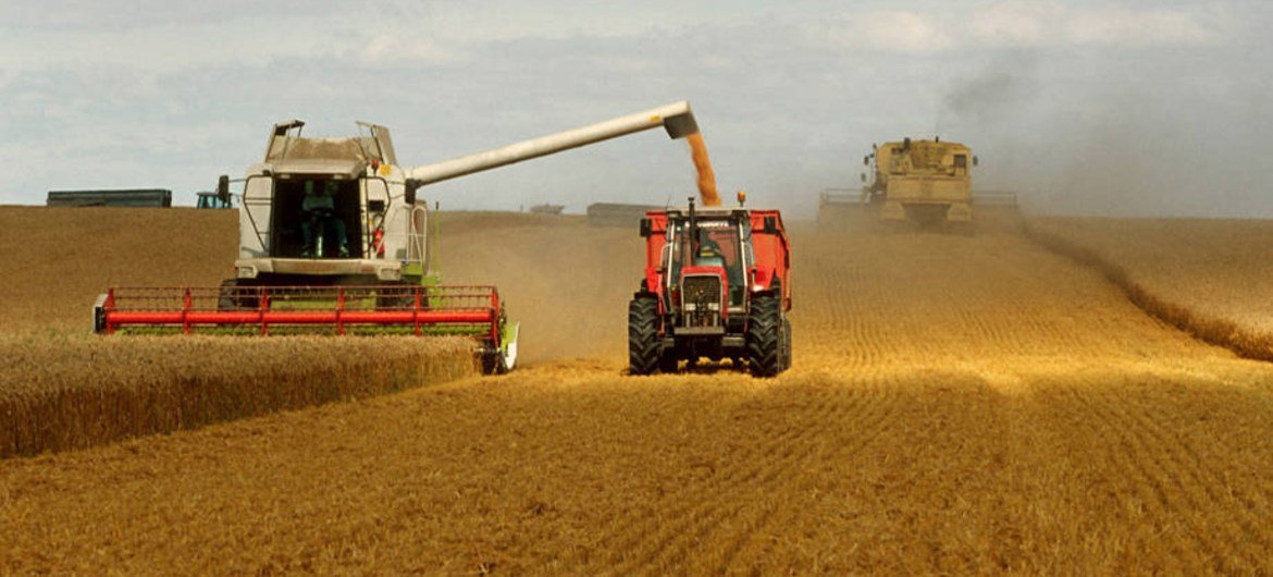 В современном сельском хозяйстве применяется большое количество удобрений и пестицидов