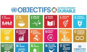 Les 17 objectifs de développement durable (ODD)Source: ONu en collaboration avec 'Project Everyone'